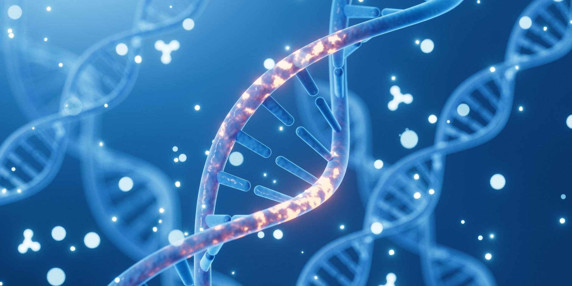 DNA