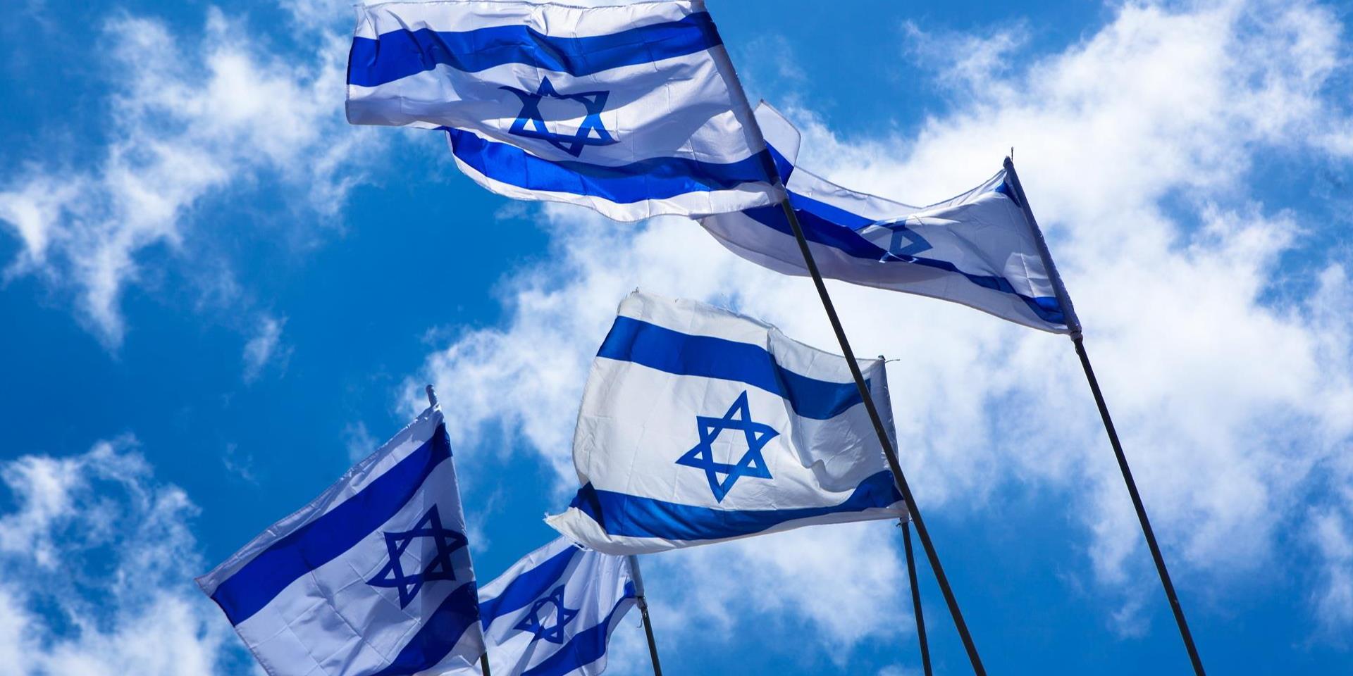 דגלי ישראל