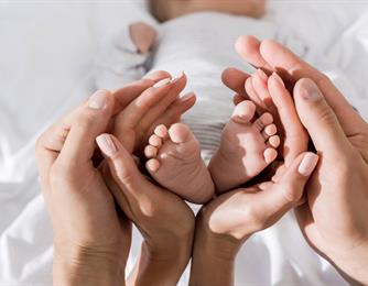 הפריה חוץ־גופית (IVF)